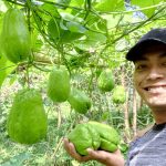 Nasib Petani dari Pemilu ke Pemilu